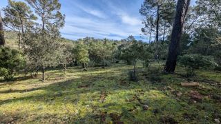  Terrain � vendre 1000 m�