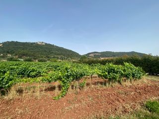  Terrain � vendre 426 m�