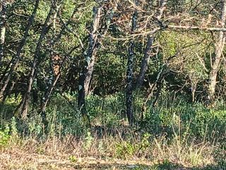  Terrain � vendre 857 m�