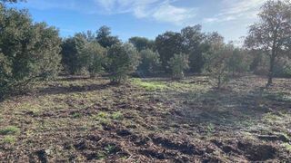  Terrain � vendre 753 m�