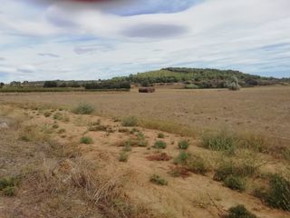  Terrain � vendre 368 m�