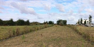  Terrain � vendre 370 m�