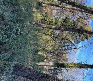  Terrain � vendre 614 m�