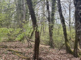  Maison � vendre 6 pi�ces 197 m�