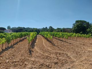  Maison 5 pi�ces 90 m� Cogolin