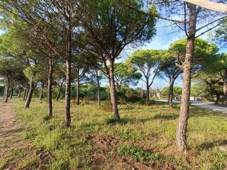  Terrain � vendre 622 m�