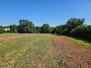  Maison � vendre 6 pi�ces 99 m�