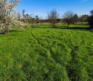  Maison � vendre 4 pi�ces 139 m�