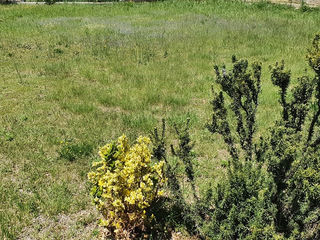  Terrain � vendre 555 m�