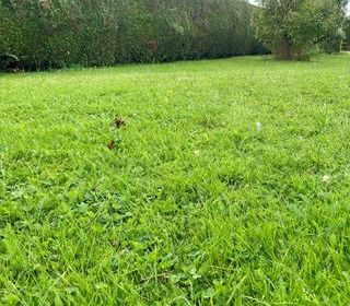  Maison 6 pi�ces 133 m� Louviers