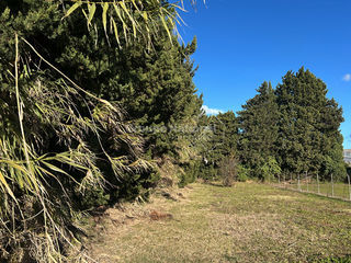  Terrain � vendre 304 m�