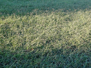  Terrain � vendre 2650 m�