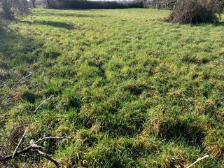  Maison 3 pi�ces 60 m� Chassors