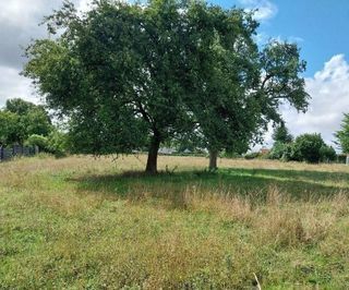  Maison � vendre 5 pi�ces 112 m�