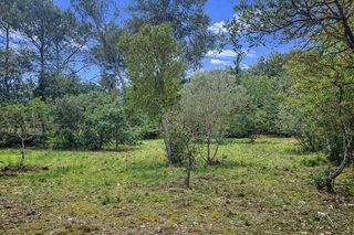  Terrain � vendre 1001 m�