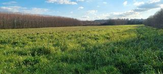  Terrain � vendre 604 m�