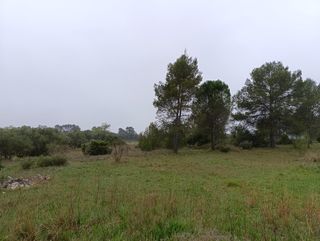  Terrain � vendre 515 m�