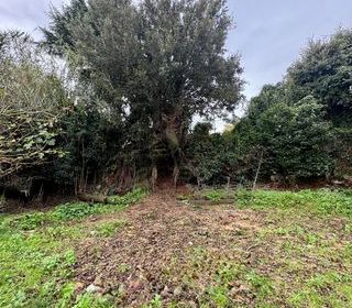  Maison � vendre 4 pi�ces 130 m�