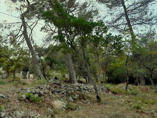  Terrain � vendre 700 m�