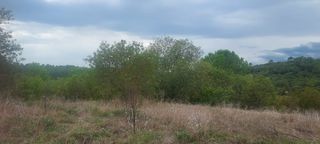  Terrain � vendre 509 m�