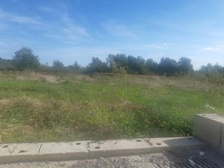  Maison 4 pi�ces 90 m� Toulouse