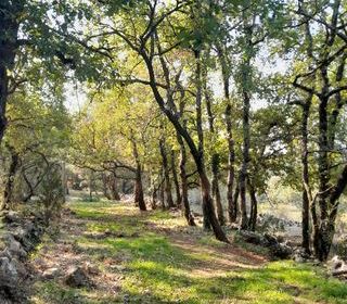  Terrain � vendre 3100 m�