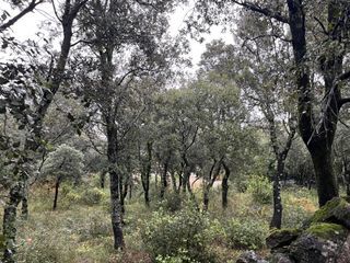  Terrain � vendre 1807 m�