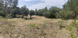  Terrain � vendre 1019 m�