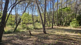  Terrain 1409 m� Bagnols-en-for�t