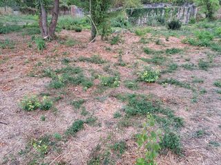  Maison � vendre 6 pi�ces 130 m�