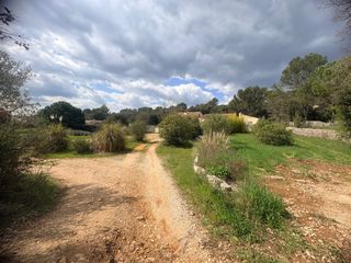  Terrain � vendre 3100 m�