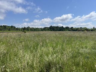  Terrain � vendre 1605 m�