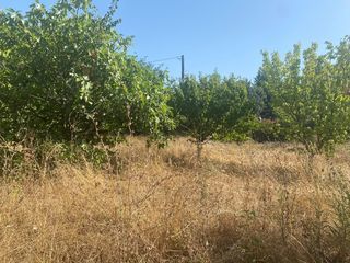  Terrain � vendre 429 m�