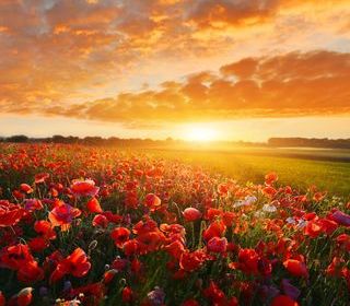  Terrain � vendre 701 m�