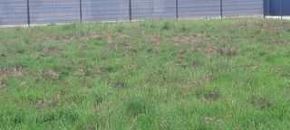  Maison � vendre 4 pi�ces 170 m�