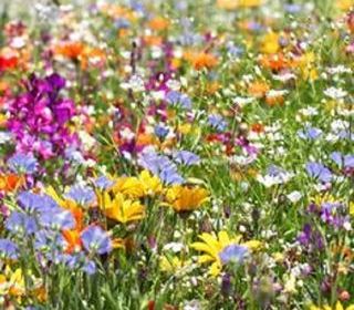  Maison � vendre 6 pi�ces 150 m�