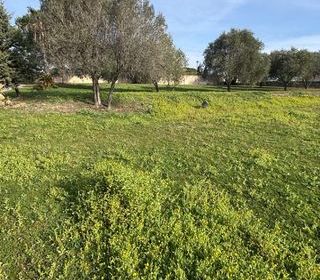  Terrain 630 m� Roquebrune-sur-argens