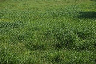  Maison 4 pi�ces 80 m� Grasse