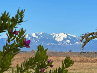  Maison 3 pi�ces 70 m� Prades