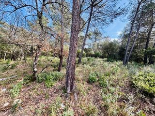  Maison � vendre 3 pi�ces 77 m�