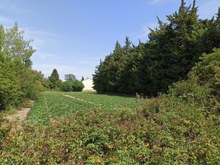  Terrain � vendre 351 m�