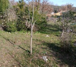 Terrain � vendre 800 m�