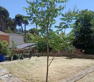  Maison � vendre 3 pi�ces 85 m�