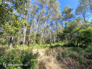  Terrain � vendre 1201 m�