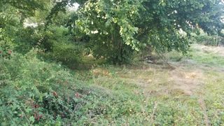  Terrain � vendre 785 m�