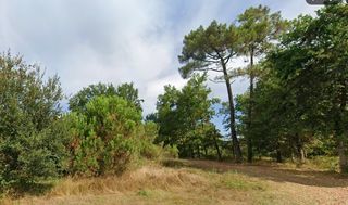  Terrain � vendre 2000 m�