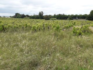  Maison � vendre 6 pi�ces 116 m�