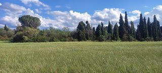  Terrain � vendre 494 m�