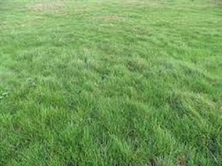  Terrain � vendre 535 m�