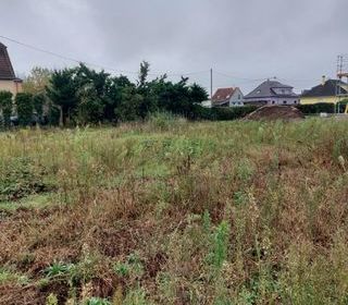  Maison � vendre 4 pi�ces 124 m�